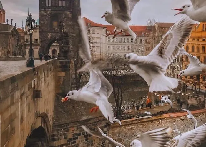 Lena Daire Prag