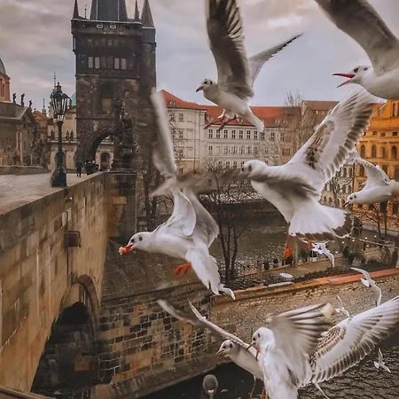 Lena Apartament Praga