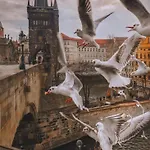 Lena Apartament Praga