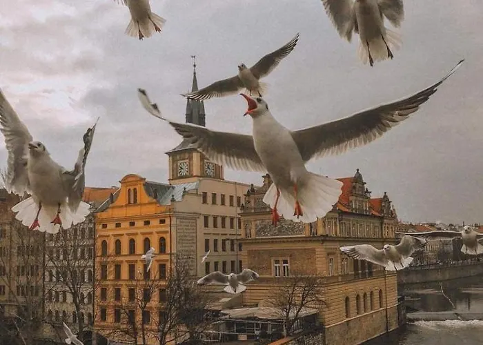 Lena * Praga